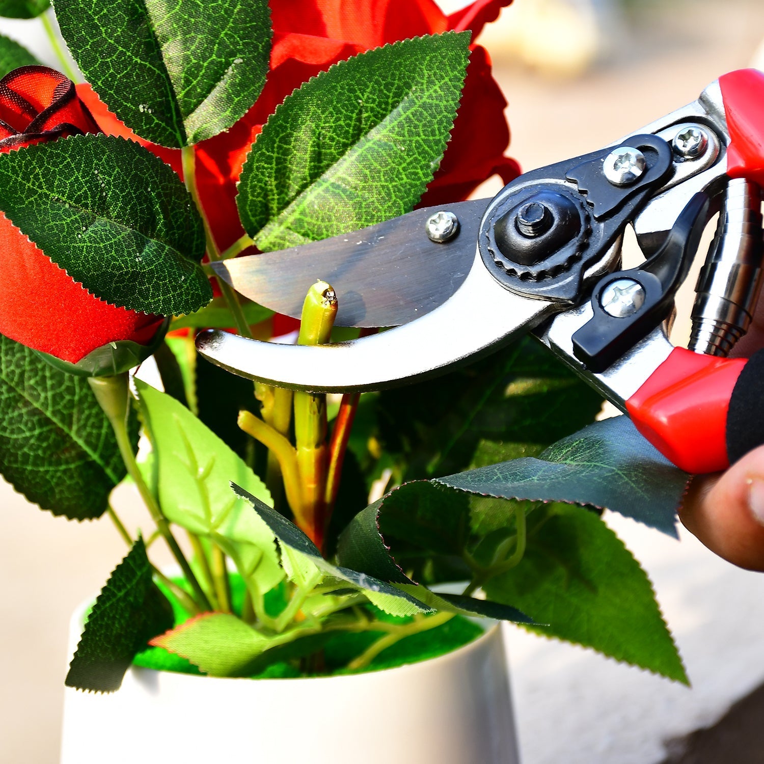 Garden pruners, 21cm red sharp cutter Garden pruners, 21cm red sharp cutter